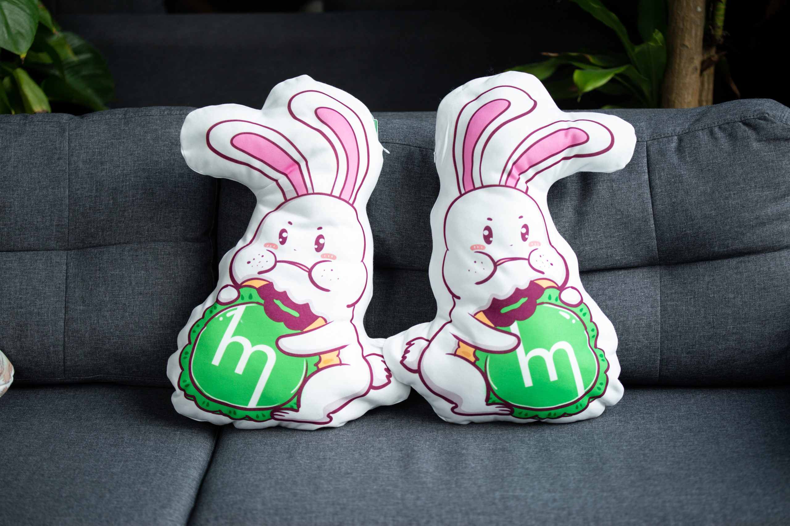 Custom shape Plush Pillow Case